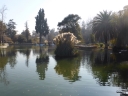 image~619.jpg