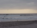 image~711.jpg