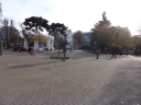 image~775.jpg