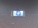 image~862.jpg